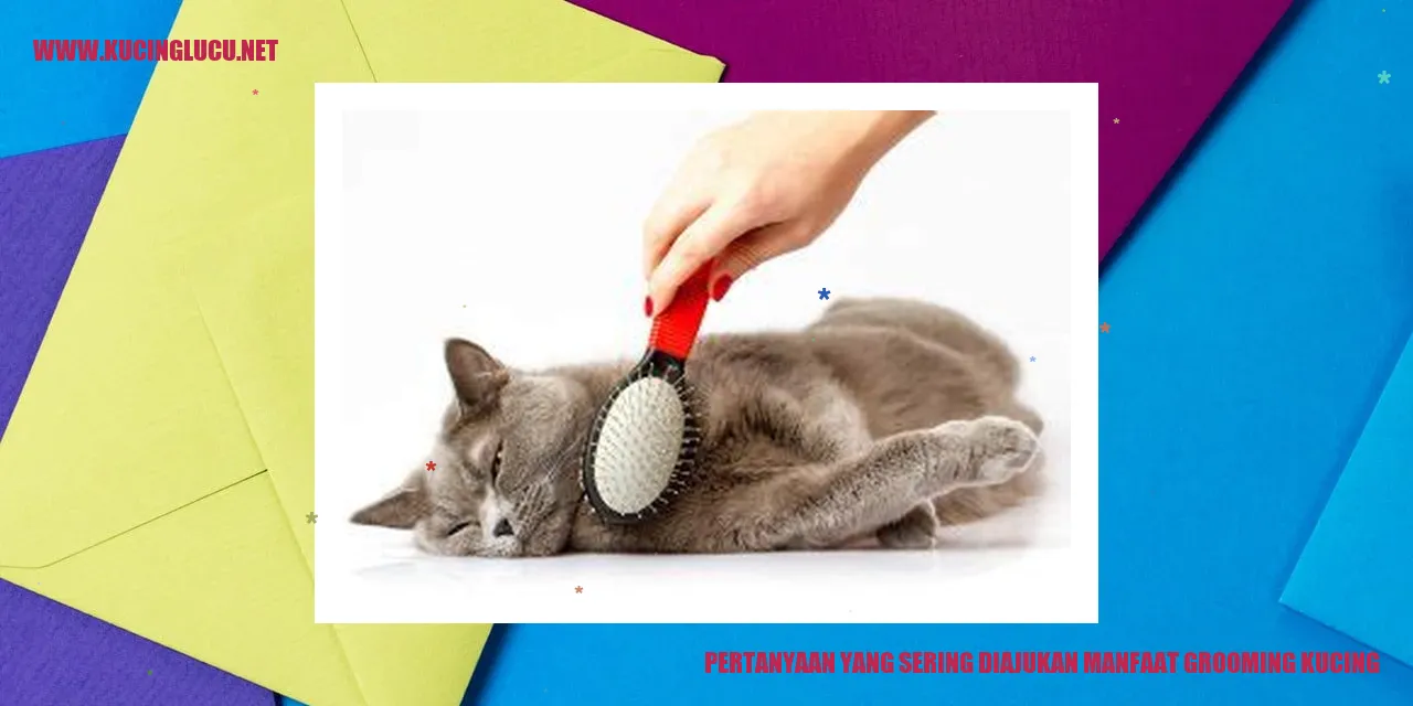Grooming Kucing