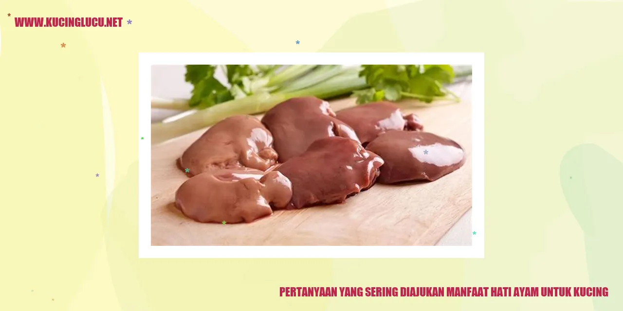 Manfaat Hati Ayam untuk Kucing