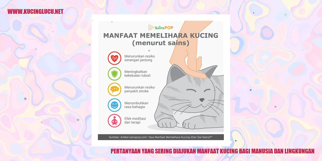 Gambar Kucing