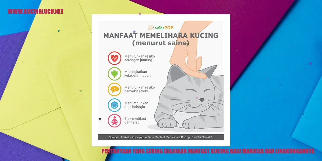 Foto Kucing Menggemaskan