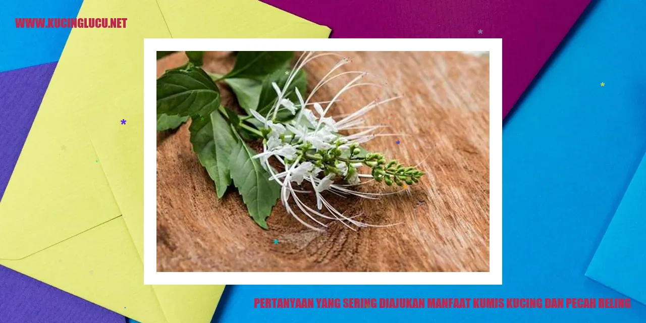 Gambar pertanyaan yang sering diajukan