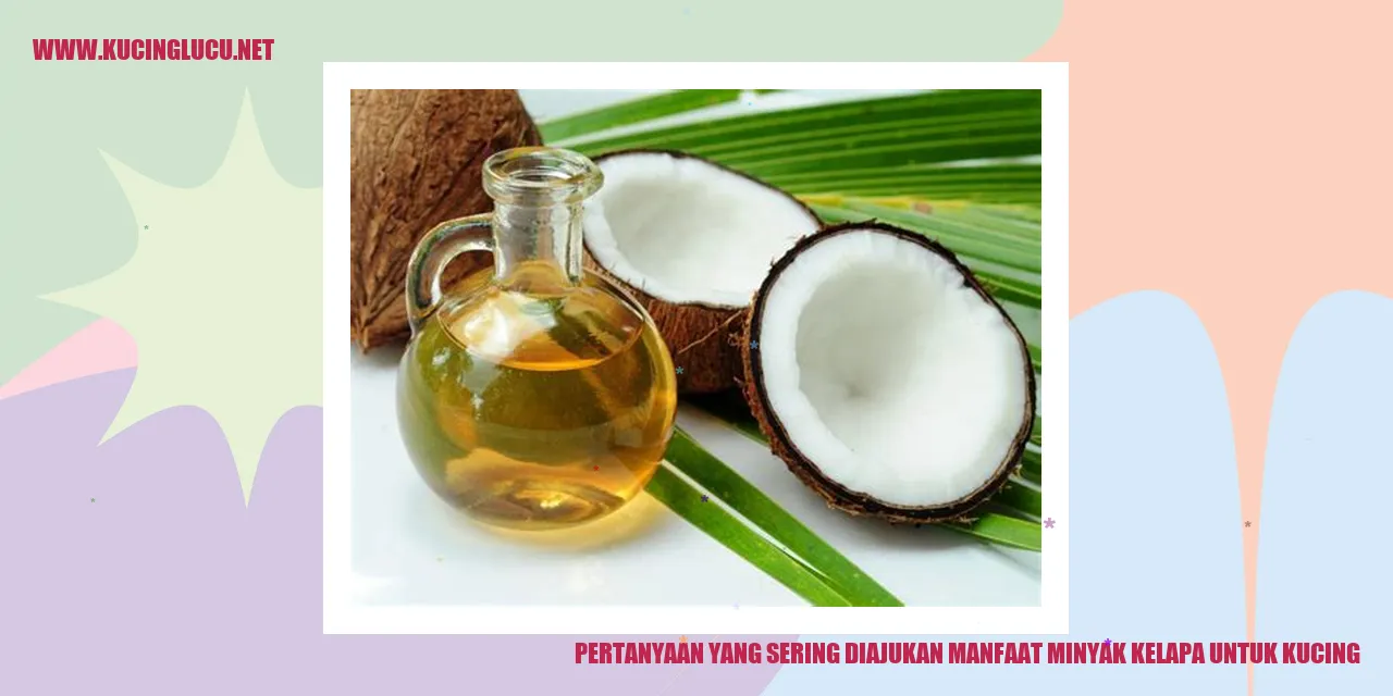 Pertanyaan yang Sering Diajukan tentang Manfaat Minyak Kelapa untuk Kucing