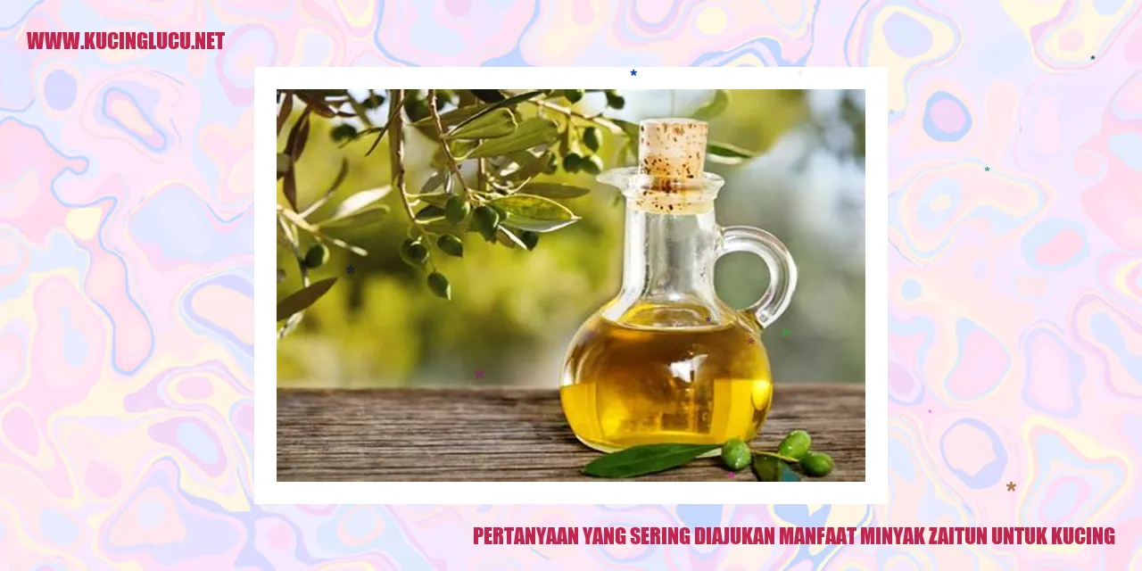 Manfaat Minyak Zaitun untuk Kucing