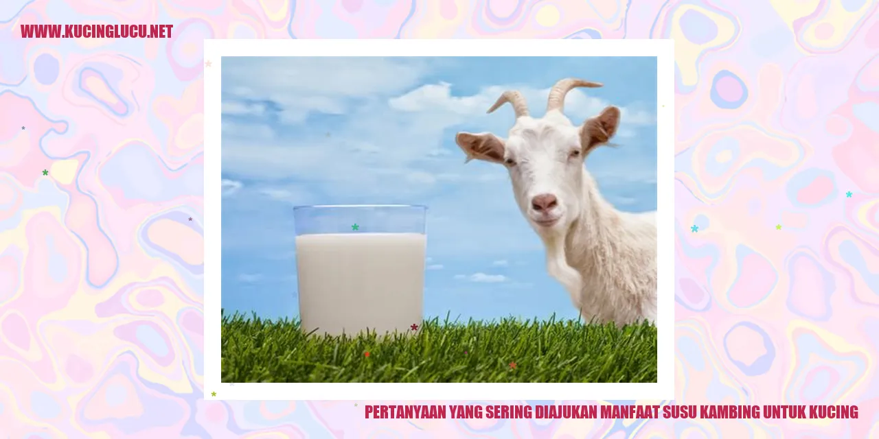 Kucing dan susu kambing
