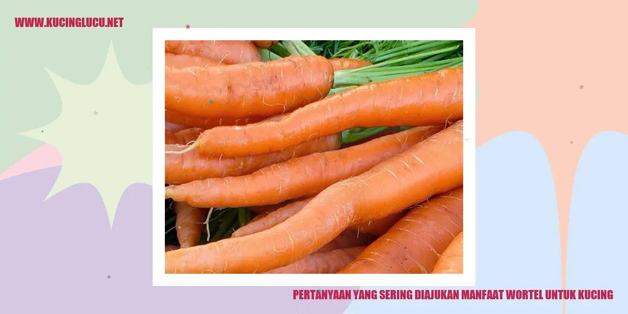 Gambar Kucing