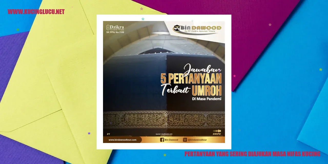Kucing dalam masa nifas