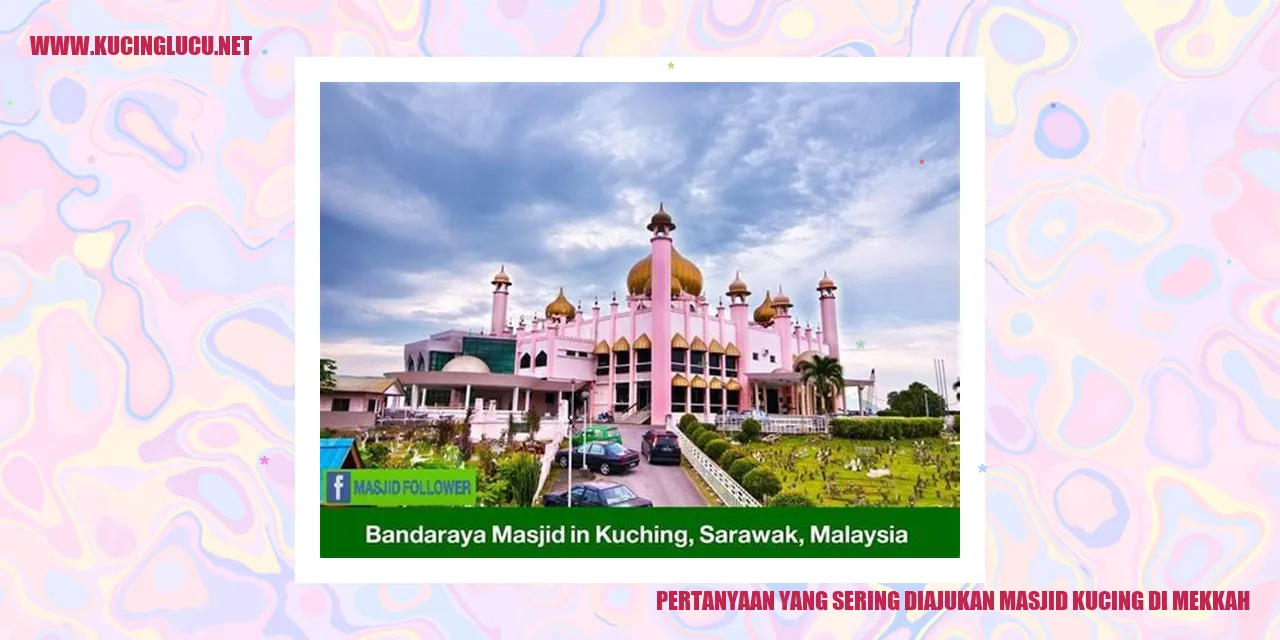 Gambar masjid kucing di Makkah