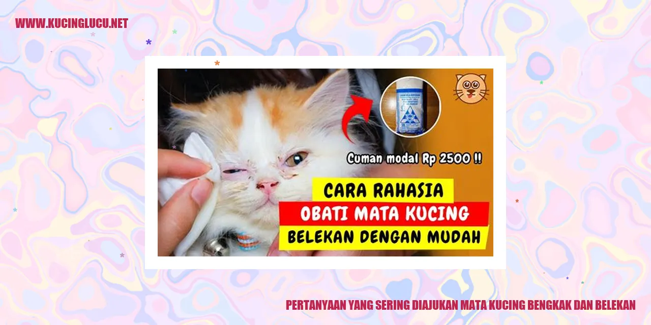 Gambar mata kucing