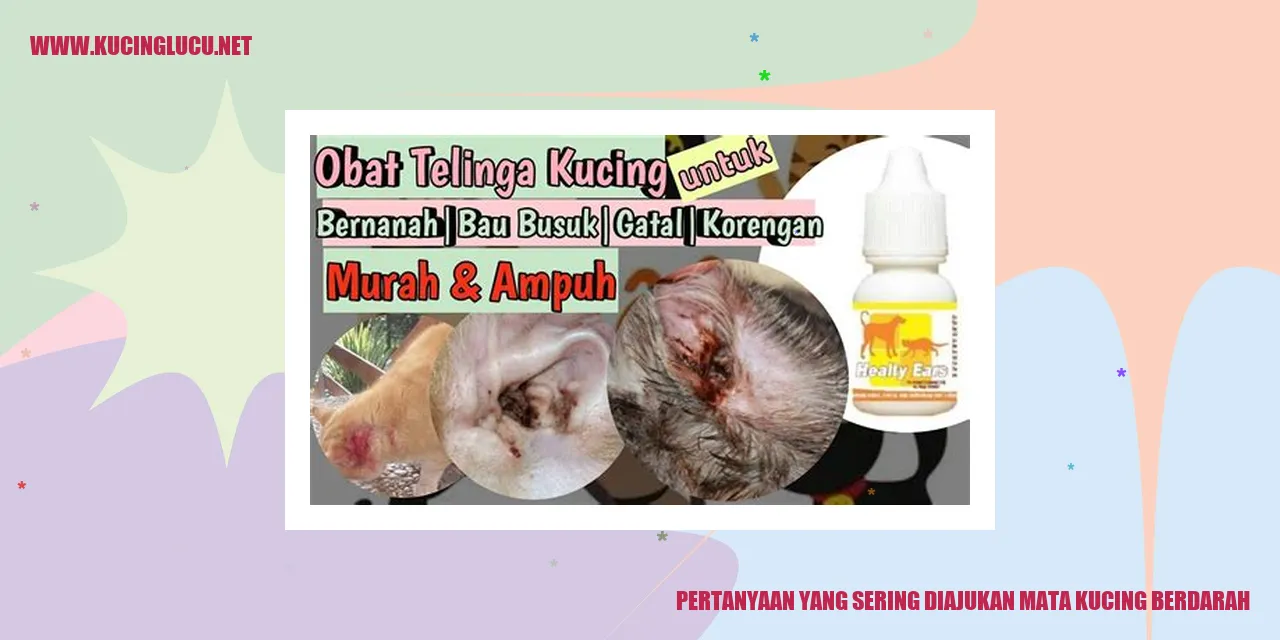 Mata Kucing Berdarah