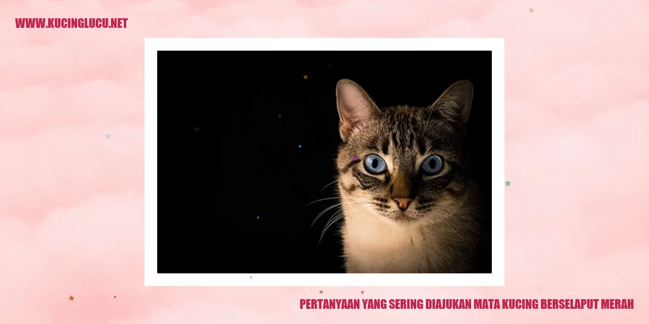 Mata Kucing Berselaput Merah