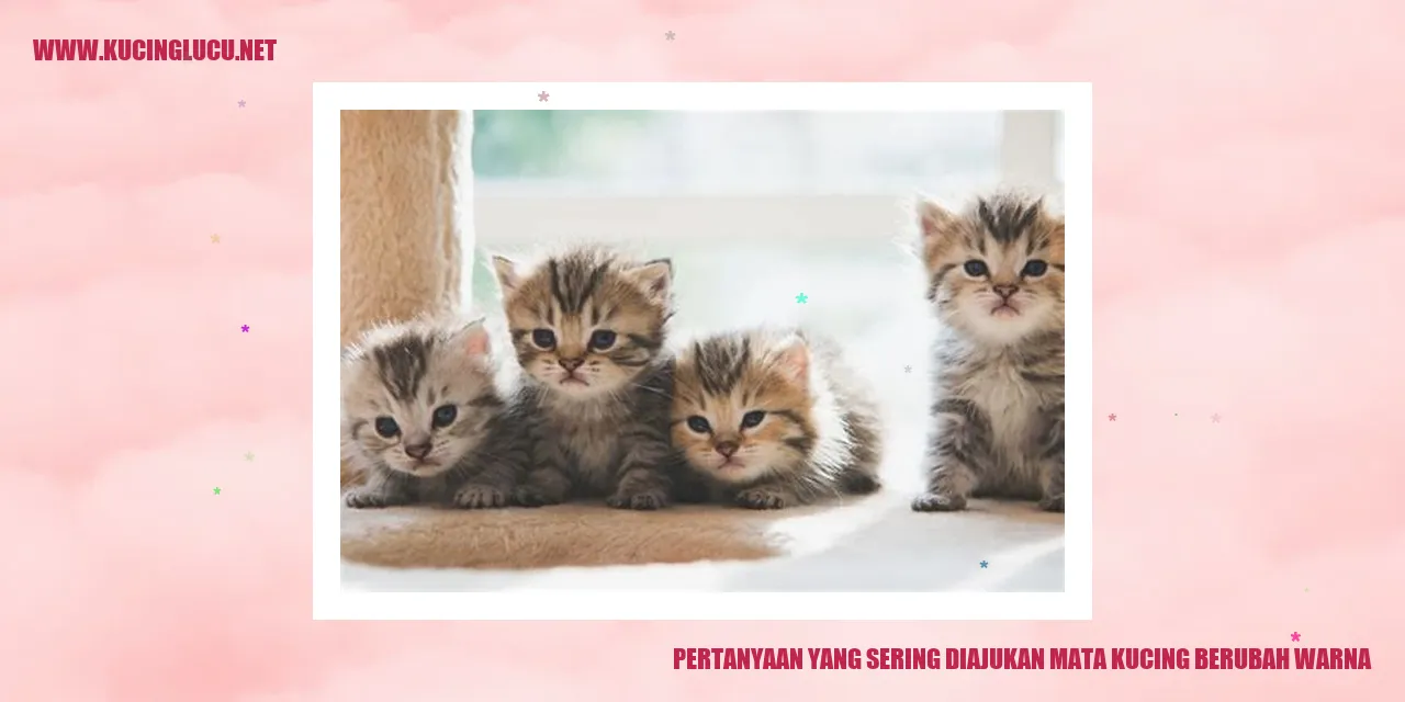 Mata Kucing yang Berubah Warna