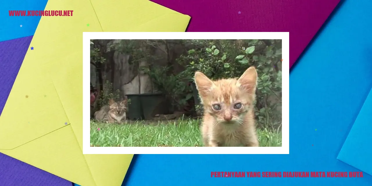 Pertanyaan yang Sering Diajukan mata kucing buta