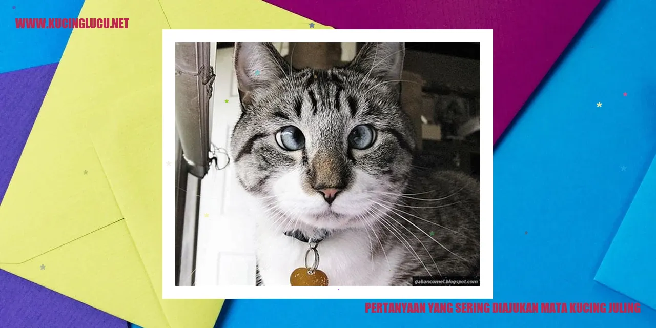 Pertanyaan yang Sering Diajukan mata kucing juling