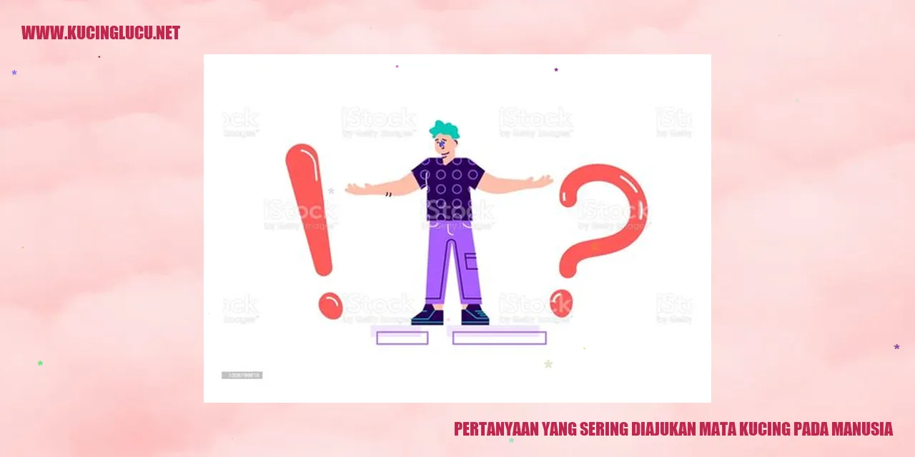 Gambar Mata Kucing