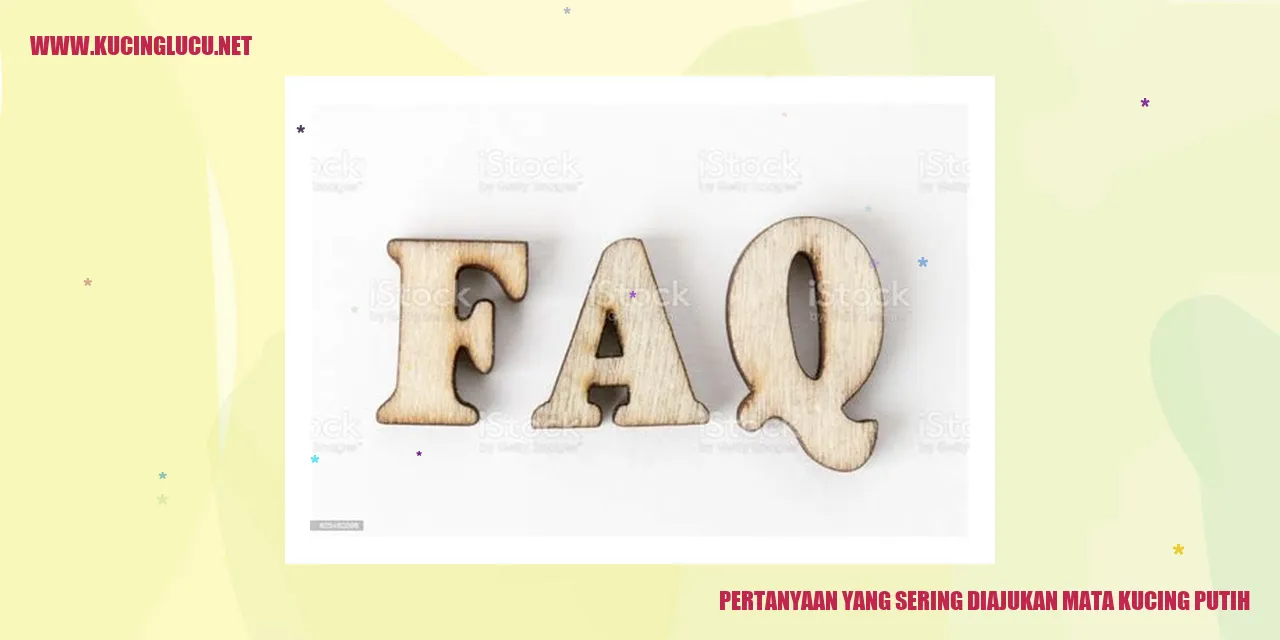 mata kucing putih