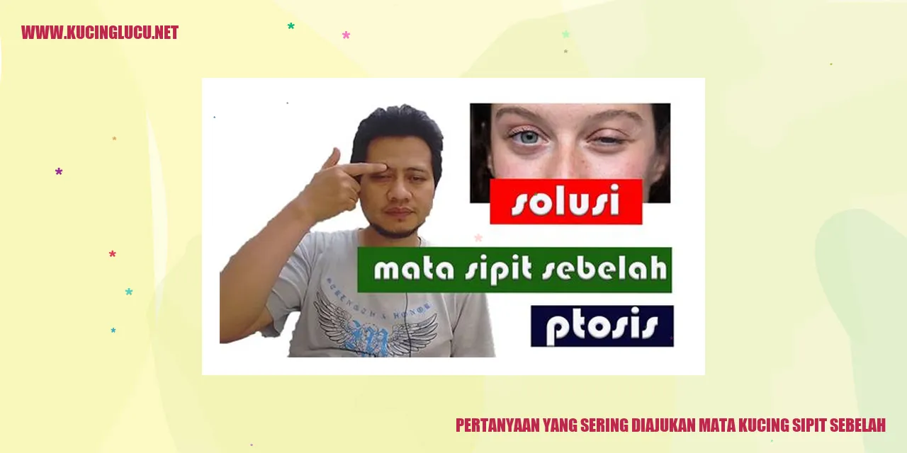 Mata Kucing Sipit Sebelah