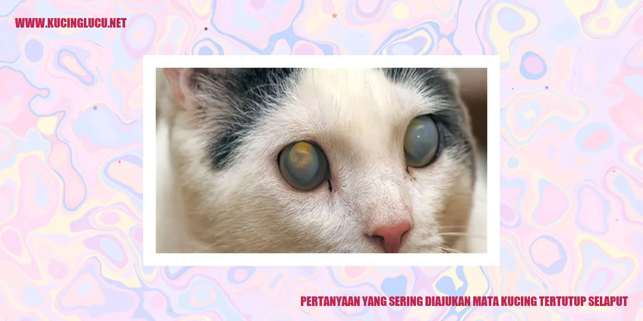 Gambar mata kucing tertutup selaput