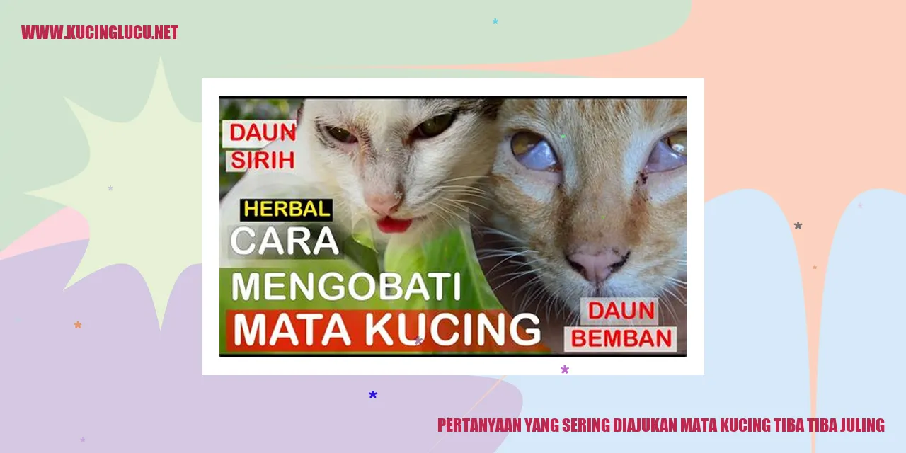 Ilustrasi Kucing dengan Mata Juling