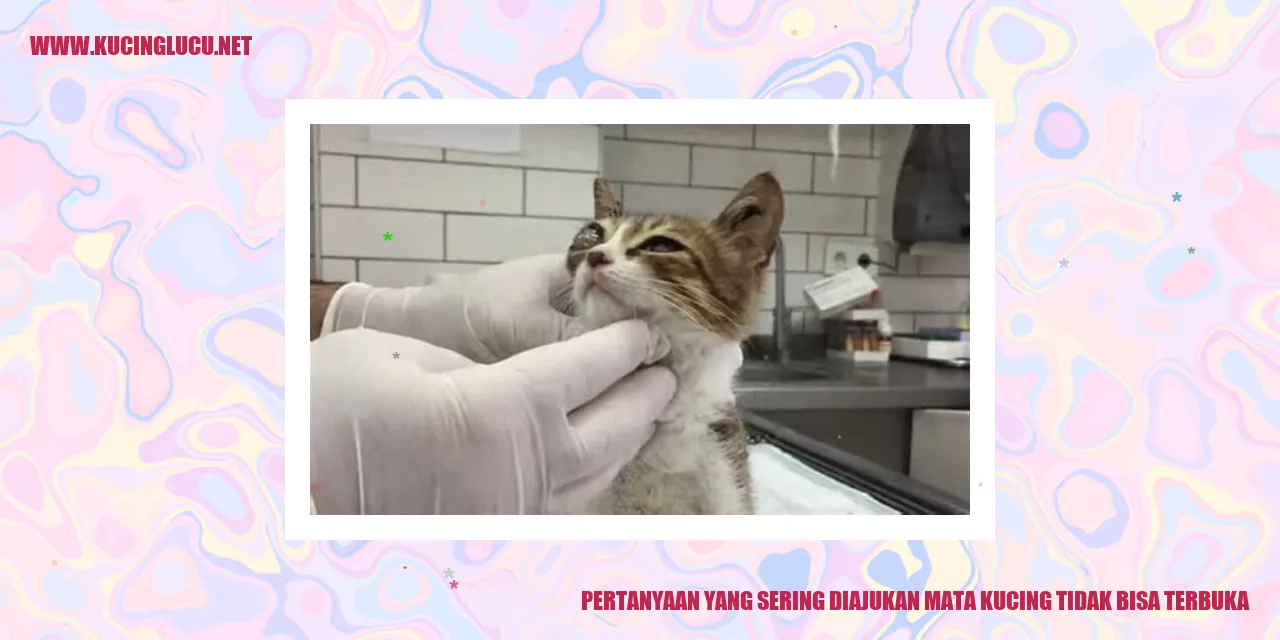 Gambar kucing dengan mata tertutup