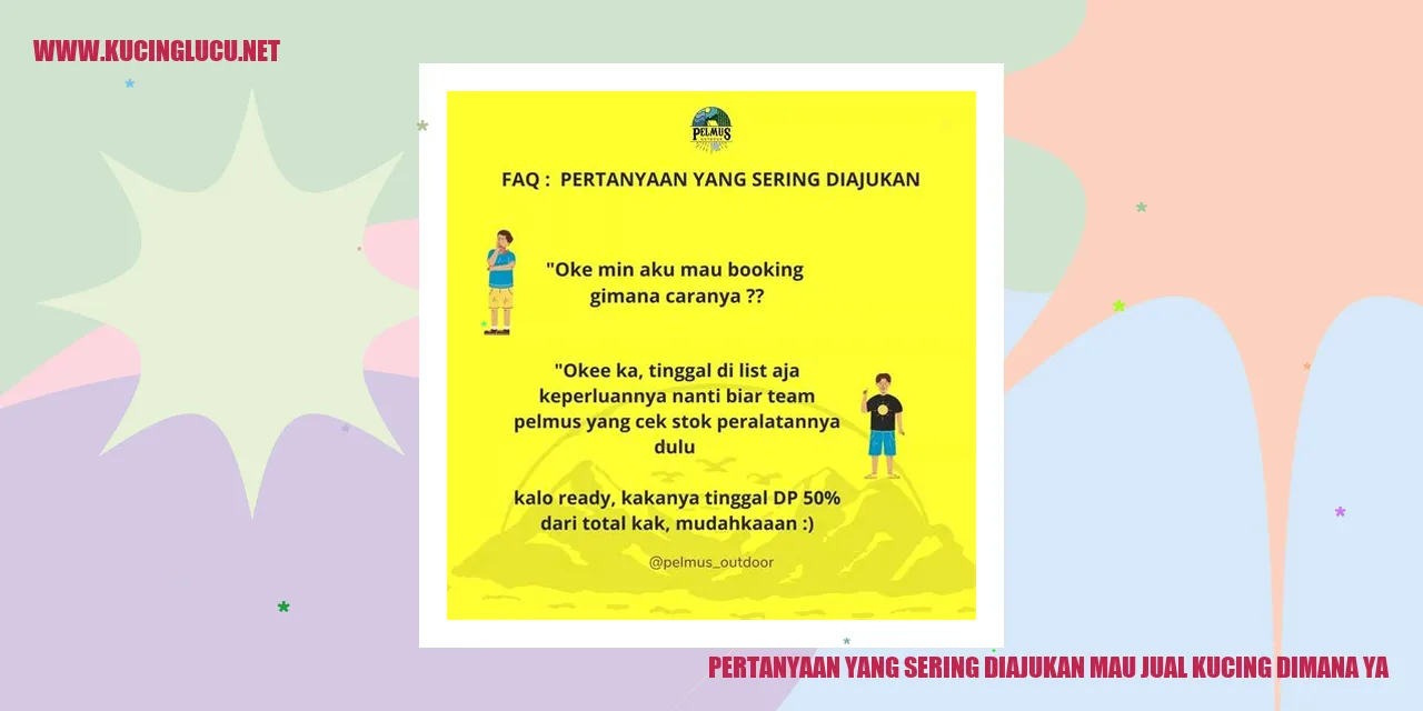 Pertanyaan yang Sering Diajukan mau jual kucing dimana ya