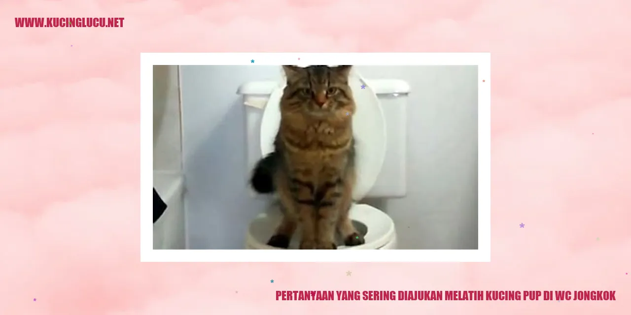 Melatih kucing pup di WC jongkok
