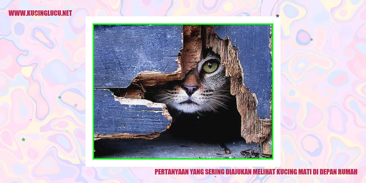 Gambar Kucing yang Meninggal