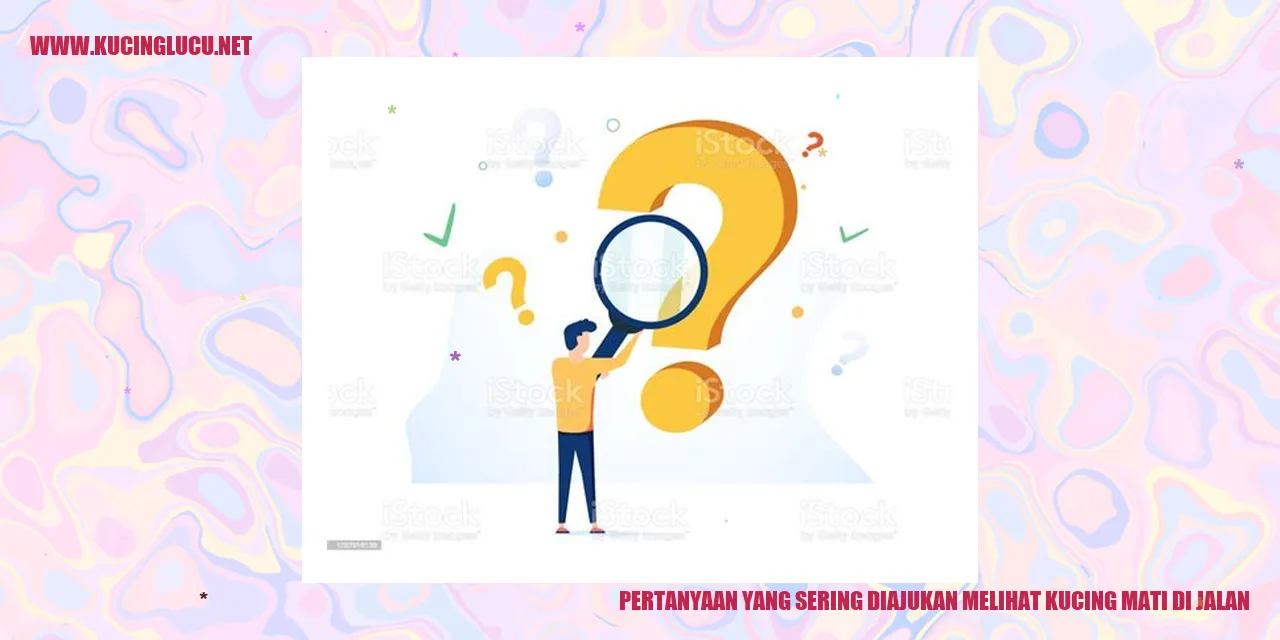 gambar kucing mati di jalan