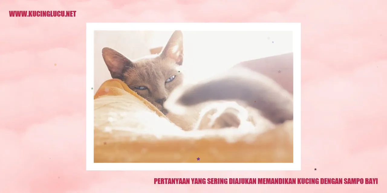 Pertanyaan yang Sering Diajukan memandikan kucing dengan sampo bayi