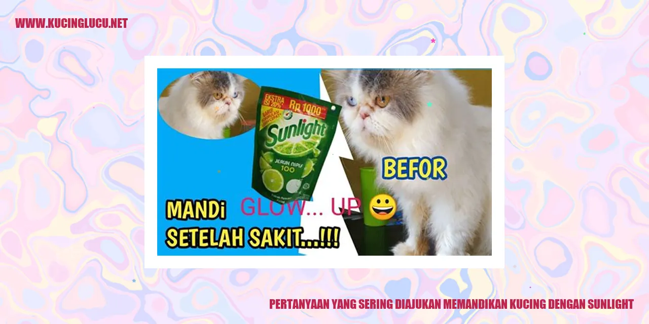 Pertanyaan yang Sering Diajukan memandikan kucing dengan sunlight