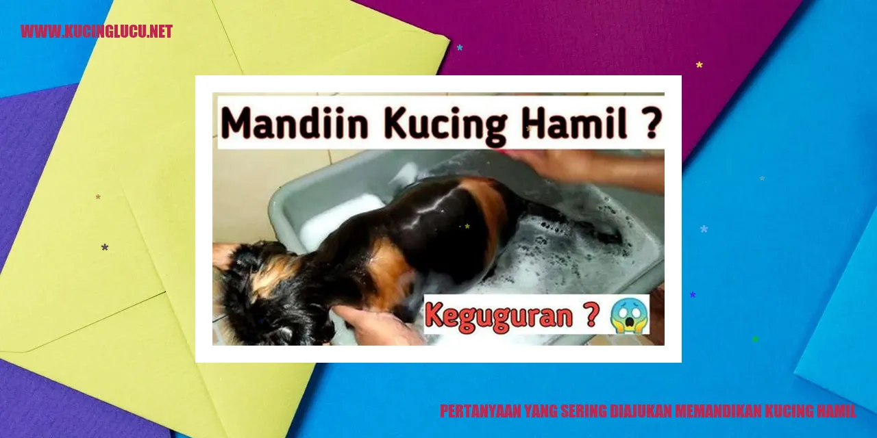 Kucing Hamil