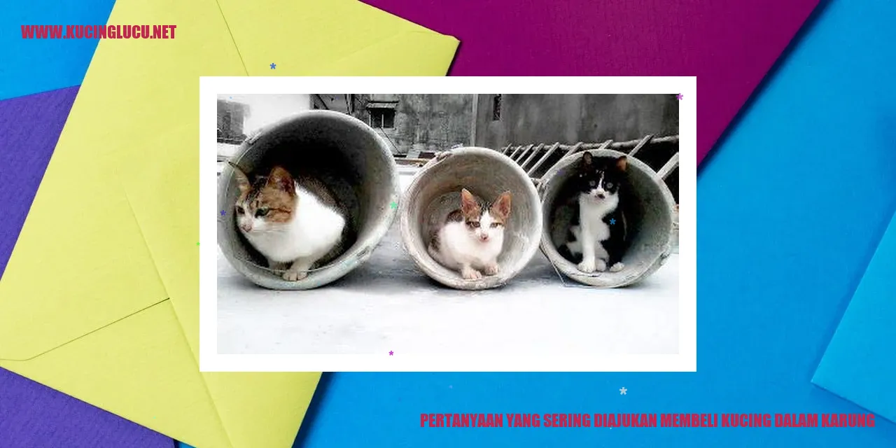 Kucing Persia