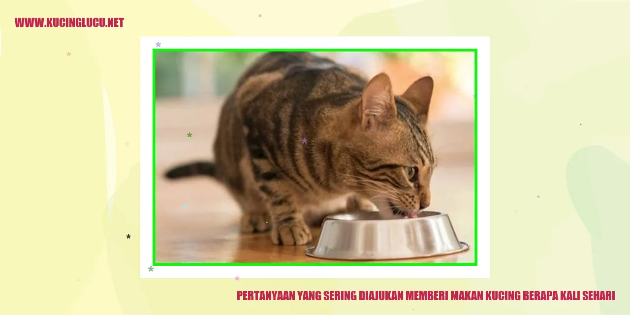 Pertanyaan yang Sering Diajukan memberi makan kucing berapa kali sehari