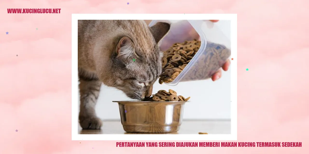 Ilustrasi pertanyaan sering ditanyakan mengenai memberi makan kucing sebagai sedekah