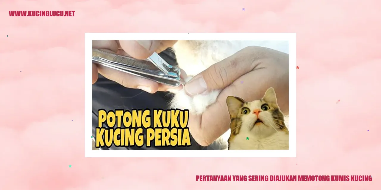 Pertanyaan yang Sering Diajukan memotong kumis kucing
