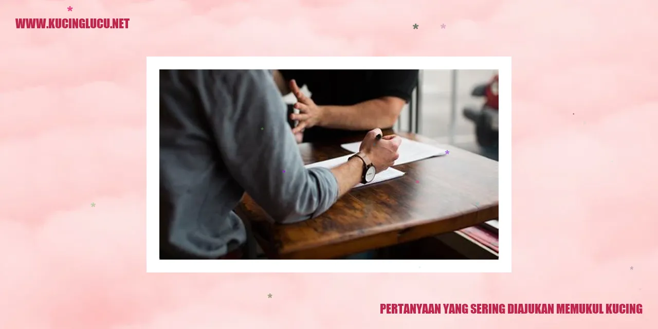 Ilustrasi kucing
