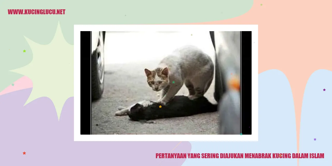Kehidupan Kucing dalam Islam