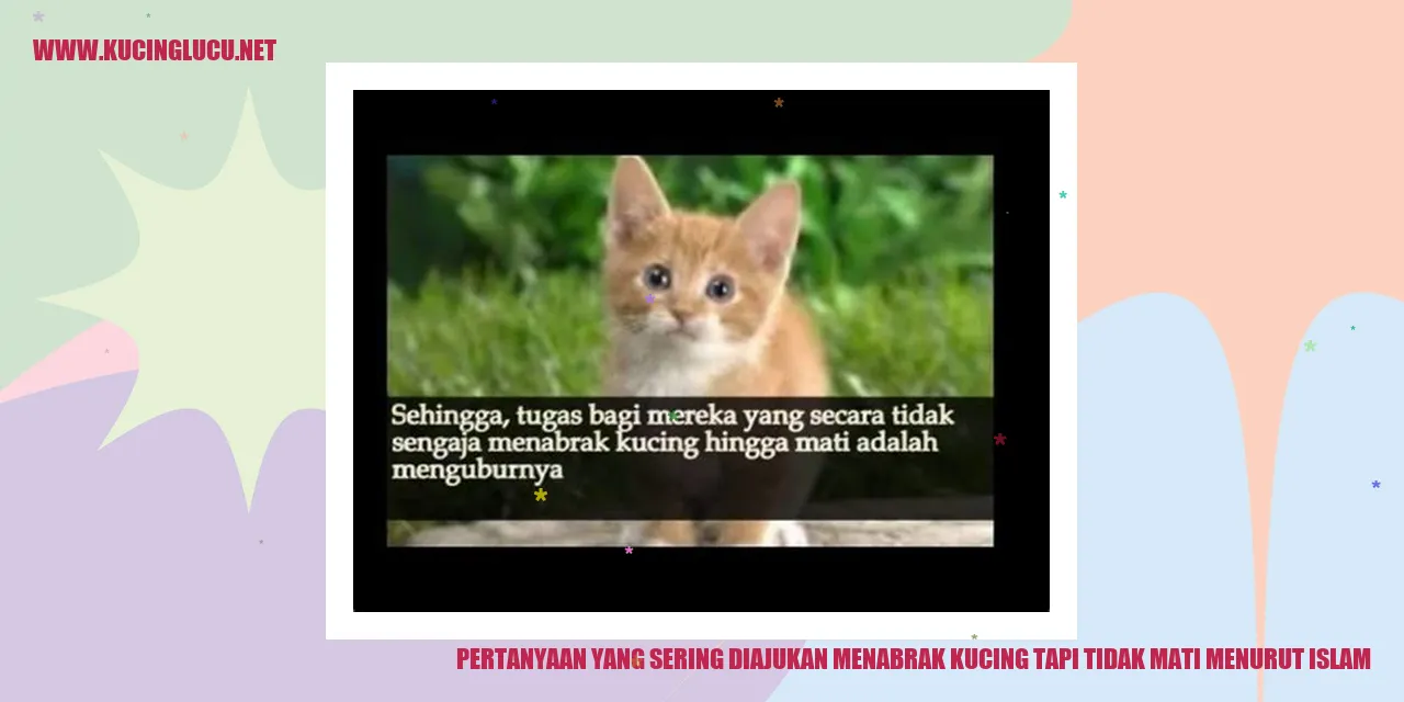 Gambar Kucing