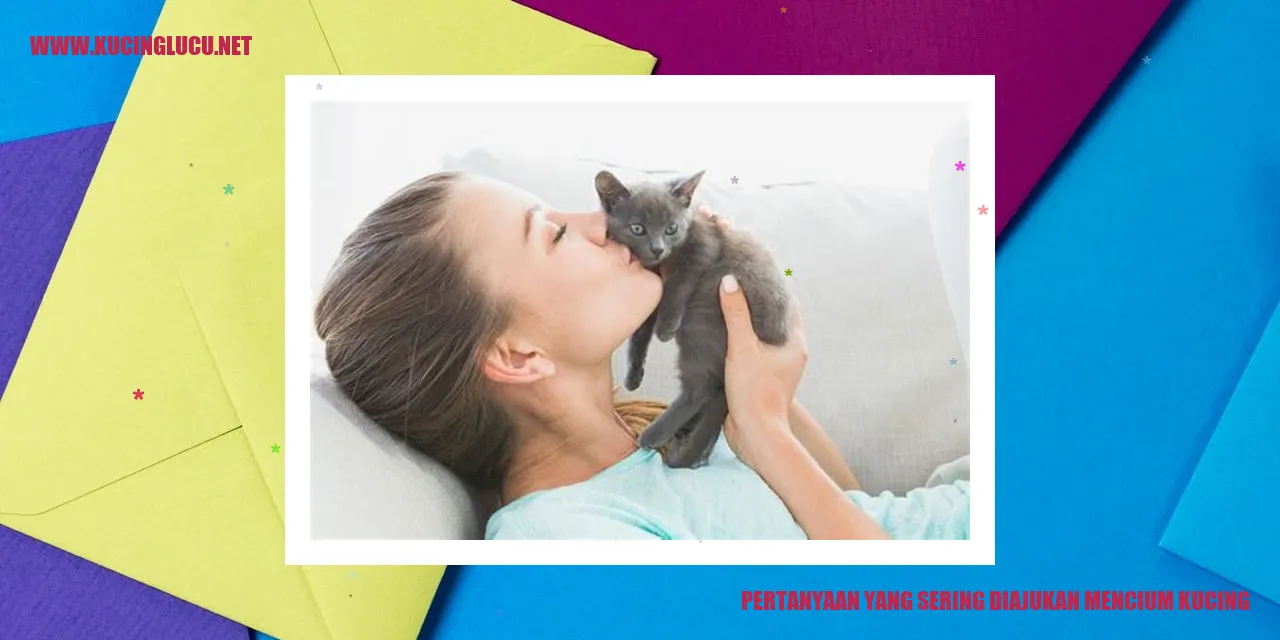 Gambar Kucing yang Menggemaskan