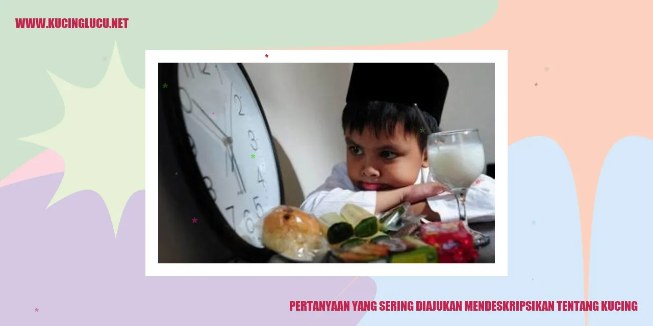Gambar Kucing