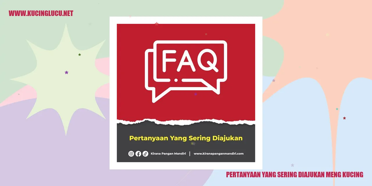Ilustrasi Kucing