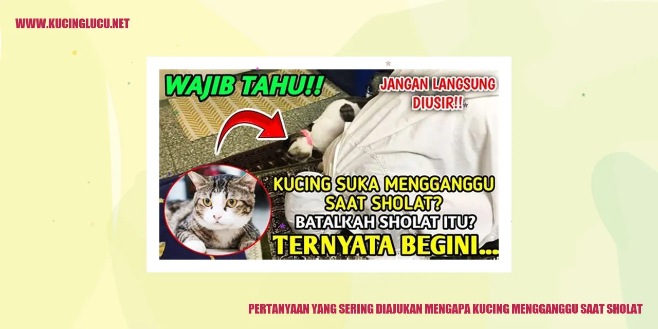 Kucing Mengacau saat Melakukan Sholat