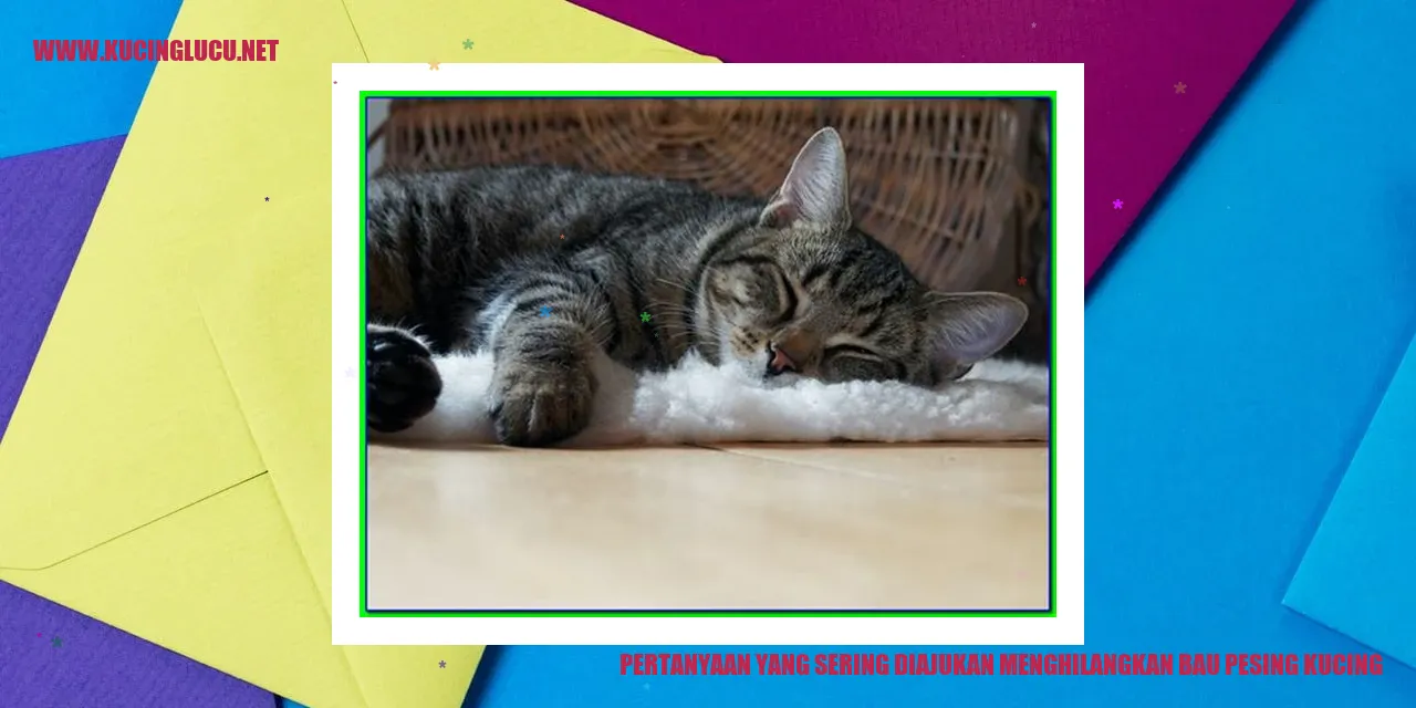 Pertanyaan yang Sering Diajukan menghilangkan bau pesing kucing