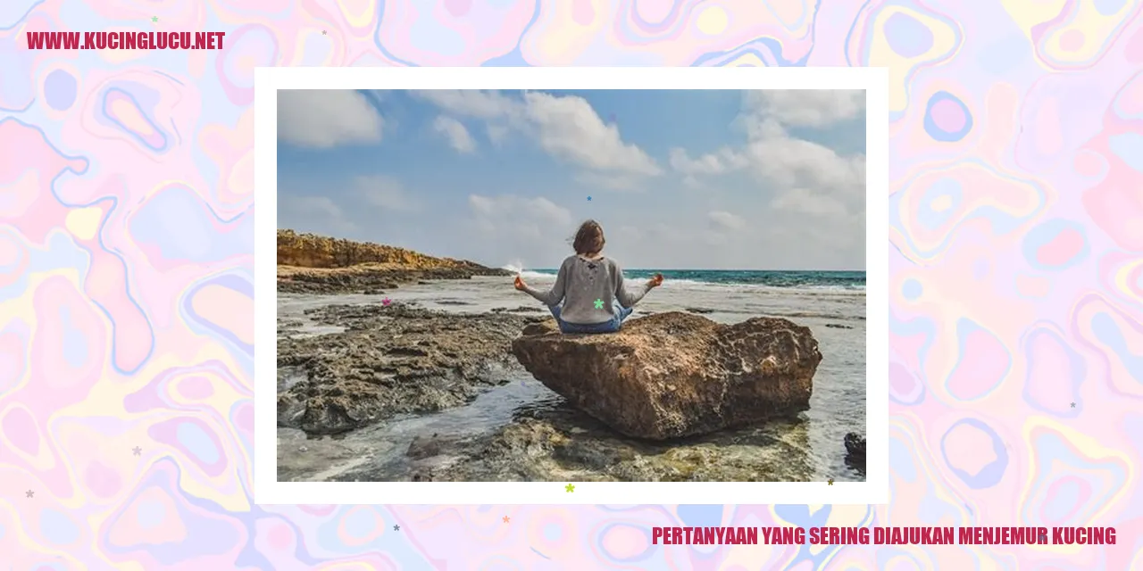 Gambar kucing sedang menjemur