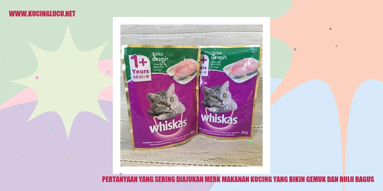 Pertanyaan yang Sering Diajukan
