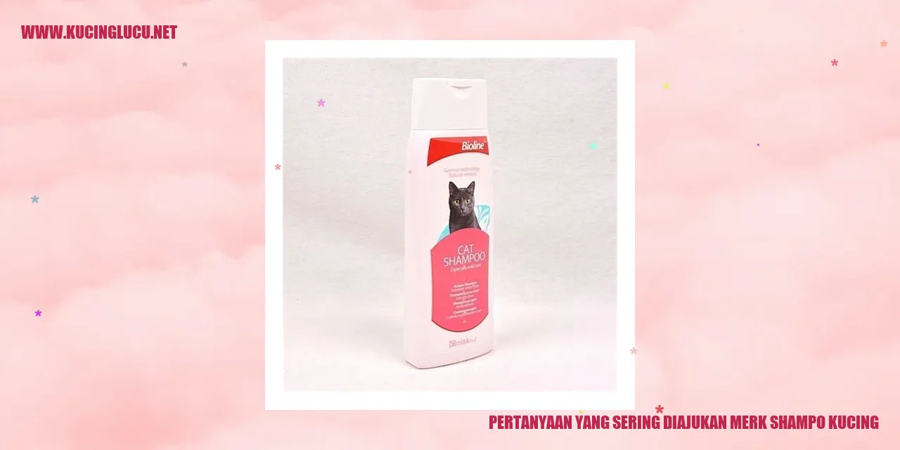 Merk Shampo Kucing