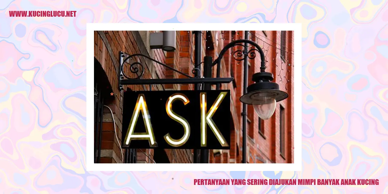 gambar anak kucing