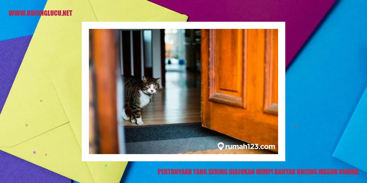 Gambar Kucing