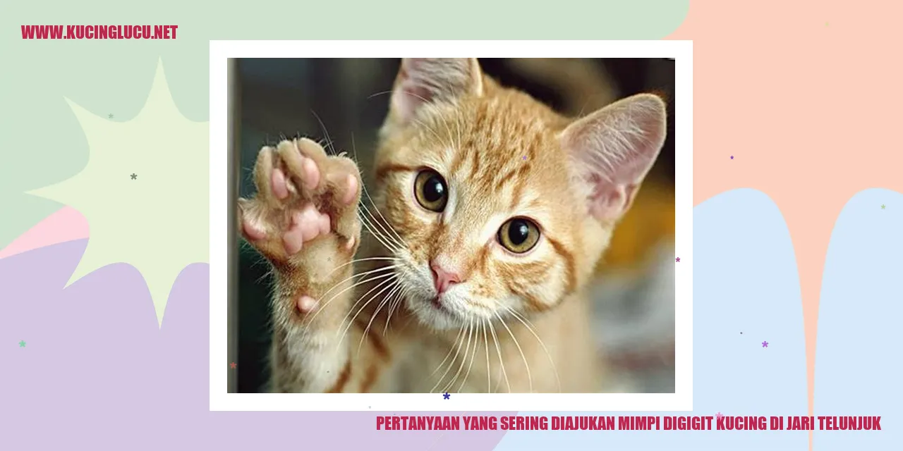 gambar kucing