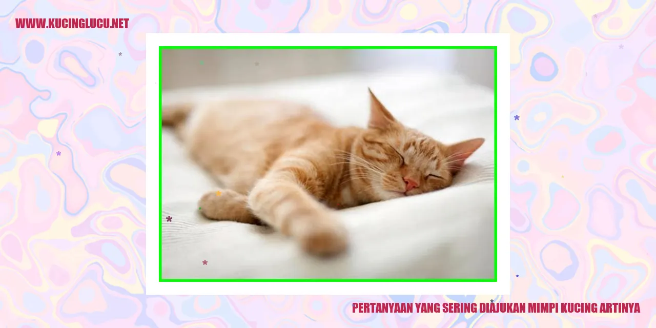 Gambar Kucing