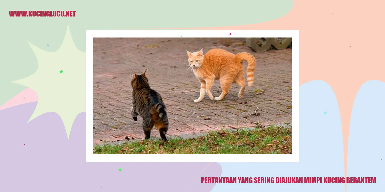 Ilustrasi kucing sedang berkelahi